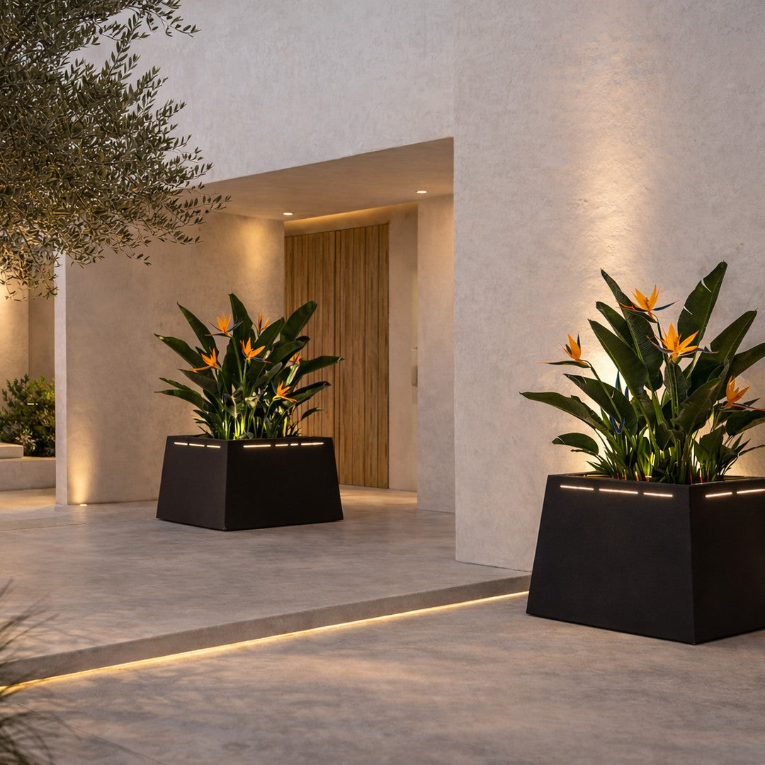Black geometric planters with vibrant orange flowers against a neutral stone backdrop, illuminated softly.