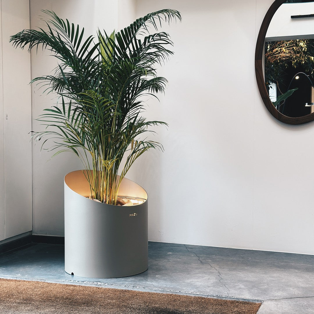 Gray circular planter with a golden rim, featuring lush green palm leaves, set against a minimalist backdrop.