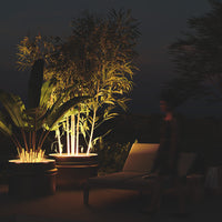 "Elegant outdoor lighting with warm yellow tones and lush green foliage against a dark night backdrop."