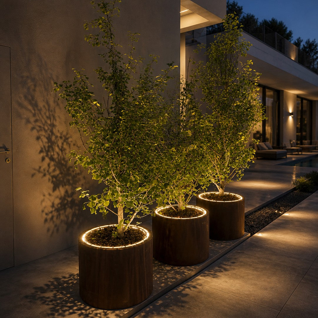 Wooden planters with warm, glowing LED lights and lush green foliage, creating a serene outdoor ambiance.