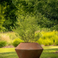 Terra-cotta pot with a smooth finish, featuring earthy tones and subtle textures, complemented by vibrant greenery.