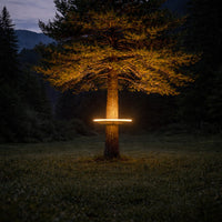 Illuminated tree with golden light against dark forest backdrop; serene green grass and mountain silhouette.