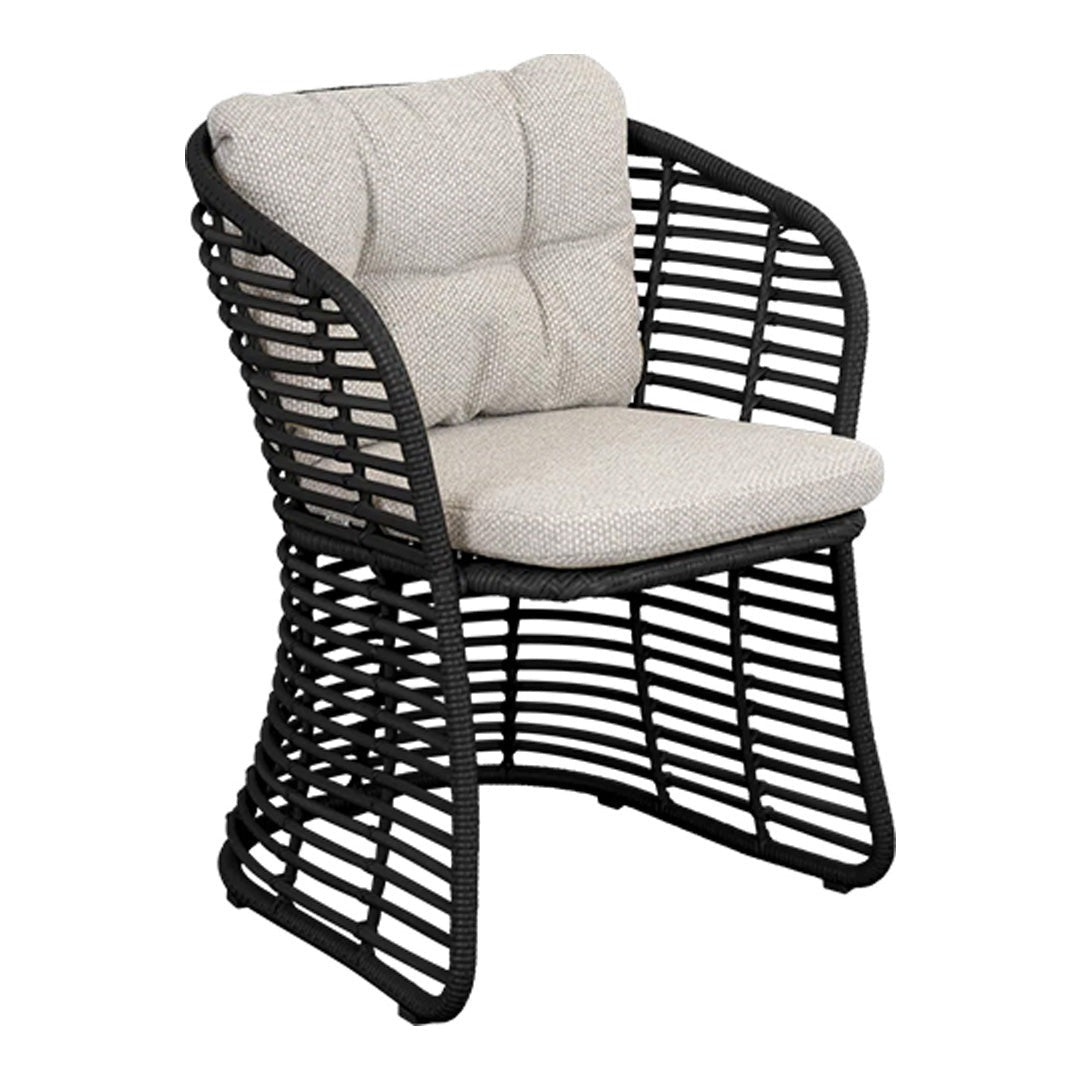 Basket Chair