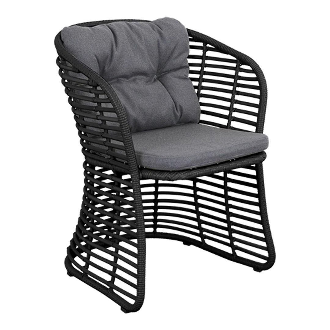 Basket Chair