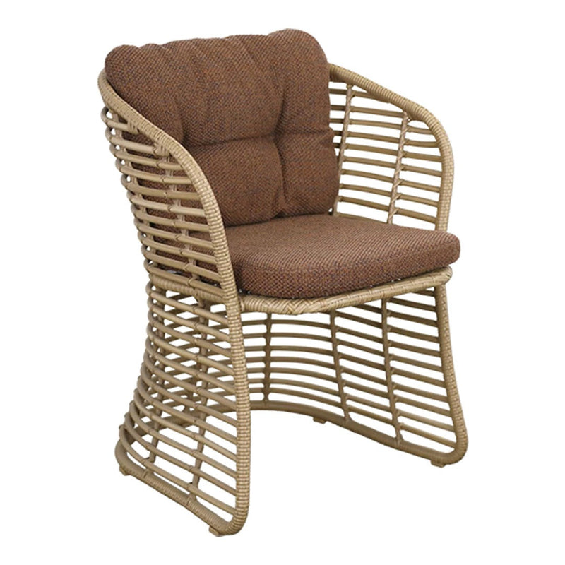 Basket Chair