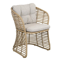 Basket Chair