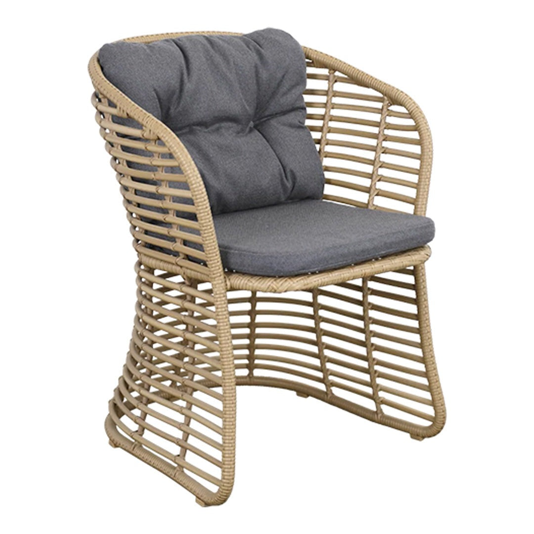Basket Chair