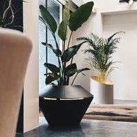 Modern black geometric planter with sleek lines, showcasing lush green foliage against a neutral backdrop.
