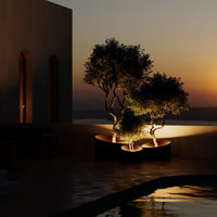 Elegant dark planters with illuminated greenery against a warm sunset backdrop, creating a serene ambiance.