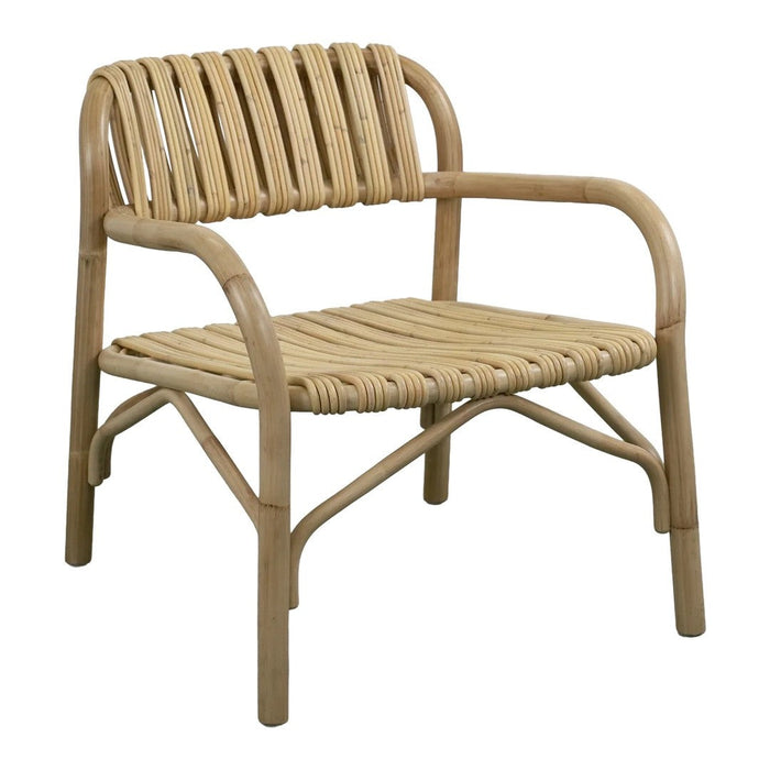 Bliss Lounge Chair - Indoor