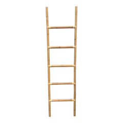 Climb Ladder
