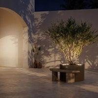 "Muted beige background with soft shadows, featuring a dark circular planter and lush green foliage."