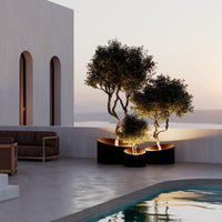 "Elegant black planters with lush greenery, contrasting with a serene outdoor setting and soft sunset hues."