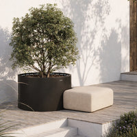 Black round planter with a lush green tree, paired with a soft beige rectangular stool on wooden tiles.
