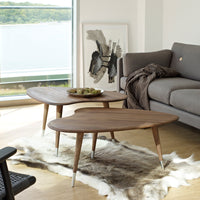"Two stylish walnut coffee tables with organic shapes, featuring rich wood grain and tapered legs, set in a modern living room."