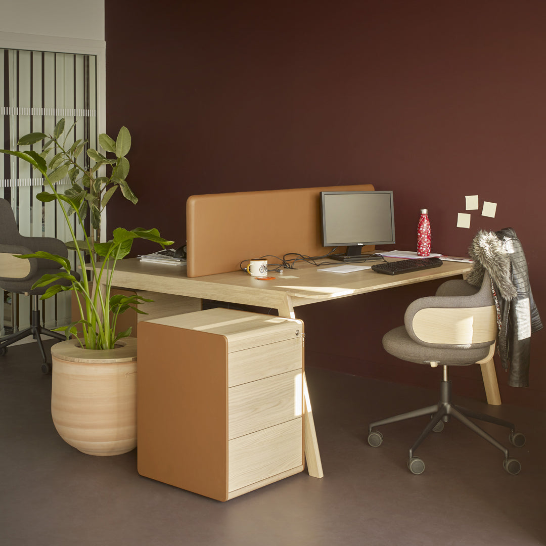 Heldu Container w/ 3 Drawers