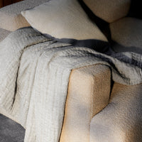 Develius Throw Pillows