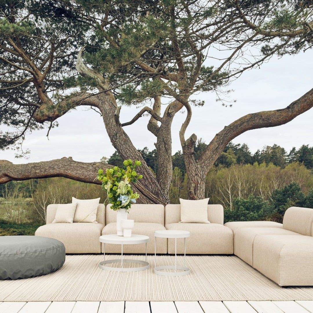 Beige sectional sofa with matching cushions, accented by a light gray ottoman and a green floral arrangement. 