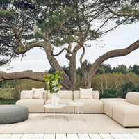 Beige sectional sofa with matching cushions, accented by a light gray ottoman and a green floral arrangement. 