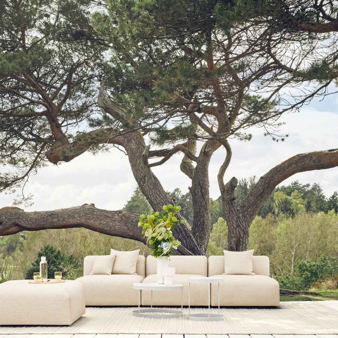 Beige sectional sofa with sleek lines, complemented by soft, natural textures and a serene outdoor backdrop.