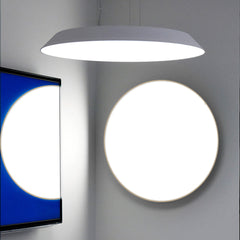 Febe ADA Wall / Ceiling Light
