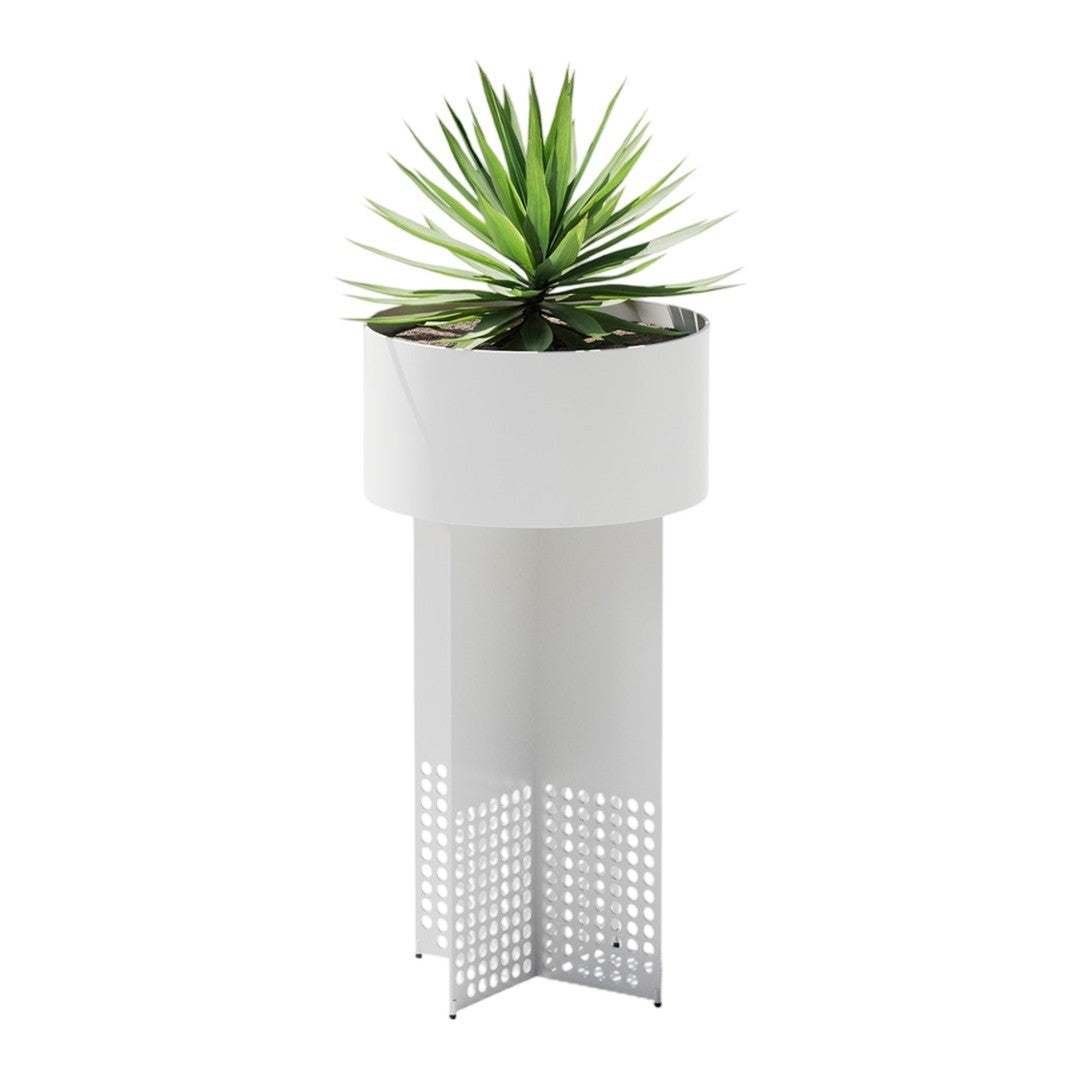 Modern white planter with a geometric perforated pattern, featuring a vibrant green succulent on top.