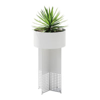Modern white planter with a geometric perforated pattern, featuring a vibrant green succulent on top.