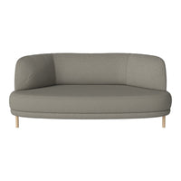 Gray sofa with a smooth, sleek design and light wooden legs, perfect for modern home decor.