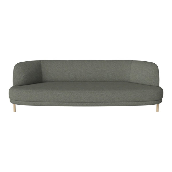 Modern gray sofa with a smooth, minimalist design and light wooden legs, perfect for contemporary interiors.
