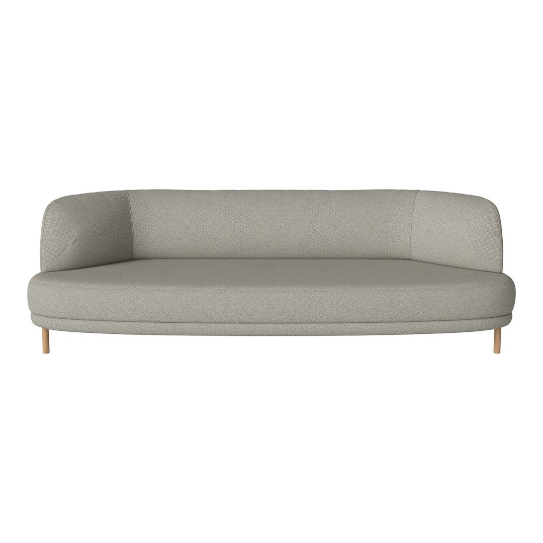 Light gray modern sofa with smooth upholstery and minimalist design, featuring natural wooden legs.