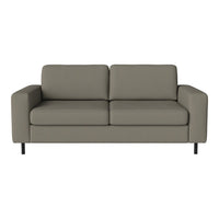 Stylish gray two-seater sofa with smooth upholstery and minimalist design, featuring clean lines and black legs.