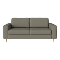 Gray two-seater sofa with clean lines and light wooden legs, perfect for modern living spaces.