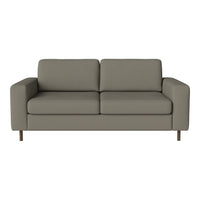 Gray fabric two-seater sofa with minimalistic design and clean lines, featuring solid wood legs.
