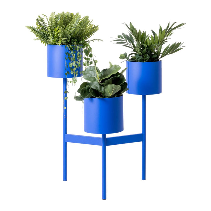 Bright blue planter stand with three circular pots, featuring lush green plants and a modern geometric design.
