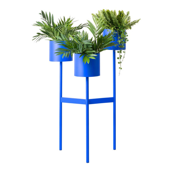 Bright blue plant stand displaying lush green foliage in three circular pots, adding a vibrant touch to any space.
