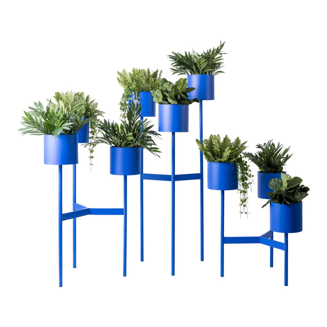 Blue planter stand with varying heights and green foliage, creating a vibrant and modern display.