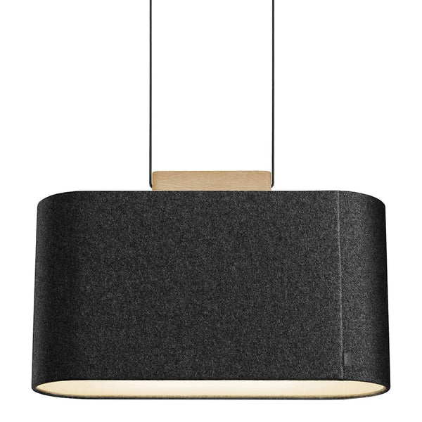 Black cylindrical pendant lamp with a smooth finish and natural wood accent. Modern minimalist design.