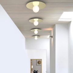 Bola Flush Wall/Ceiling Light