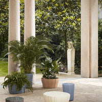 "Stylish pastel planters in blue, beige, and green complement lush greenery in a serene outdoor setting."