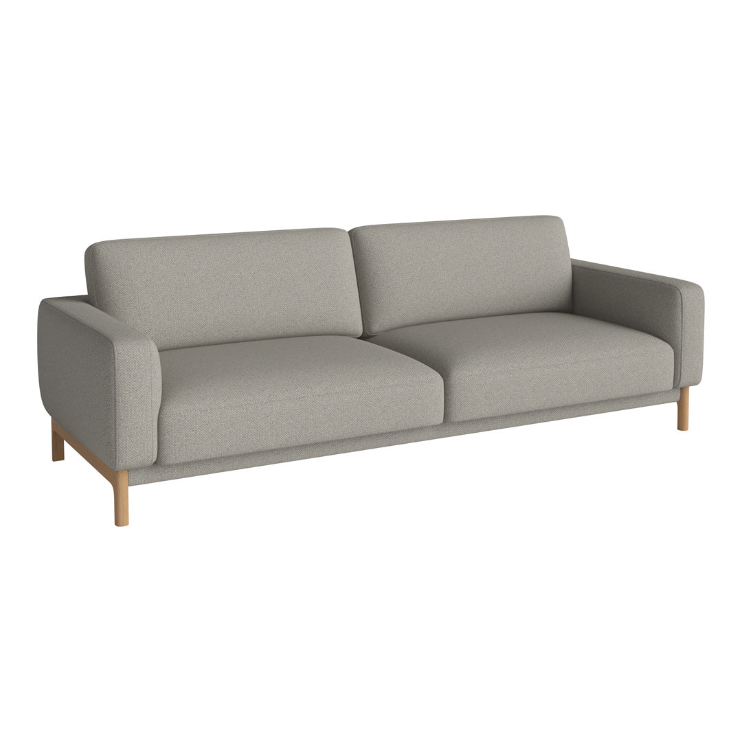 Light gray fabric sofa with clean lines and natural wood legs. Modern minimalist design, perfect for any living space.