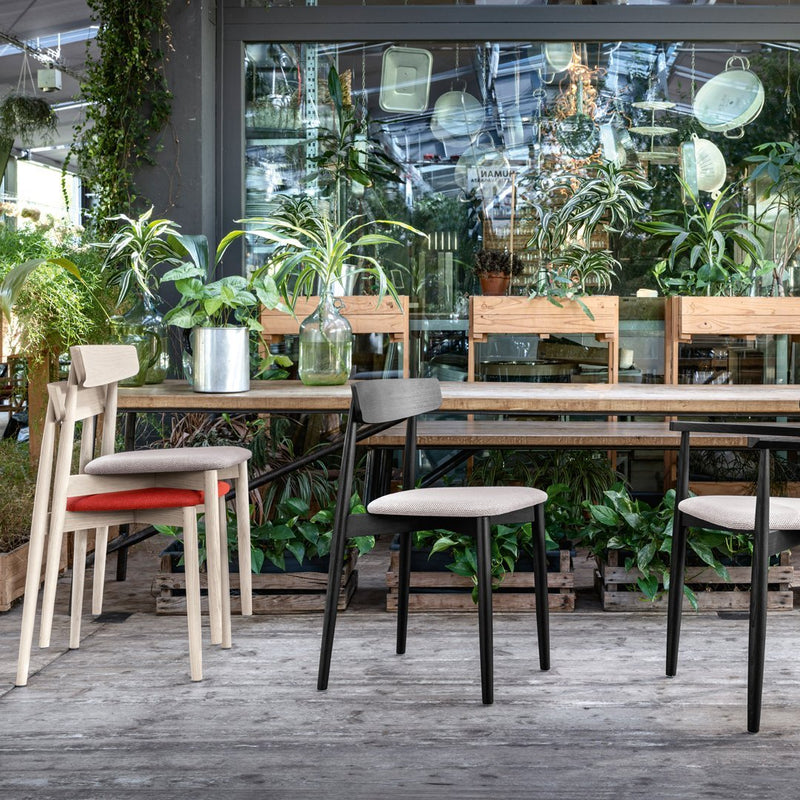 Stylish wooden chairs in beige, black, and red, with minimalist designs, set against a vibrant green backdrop.
