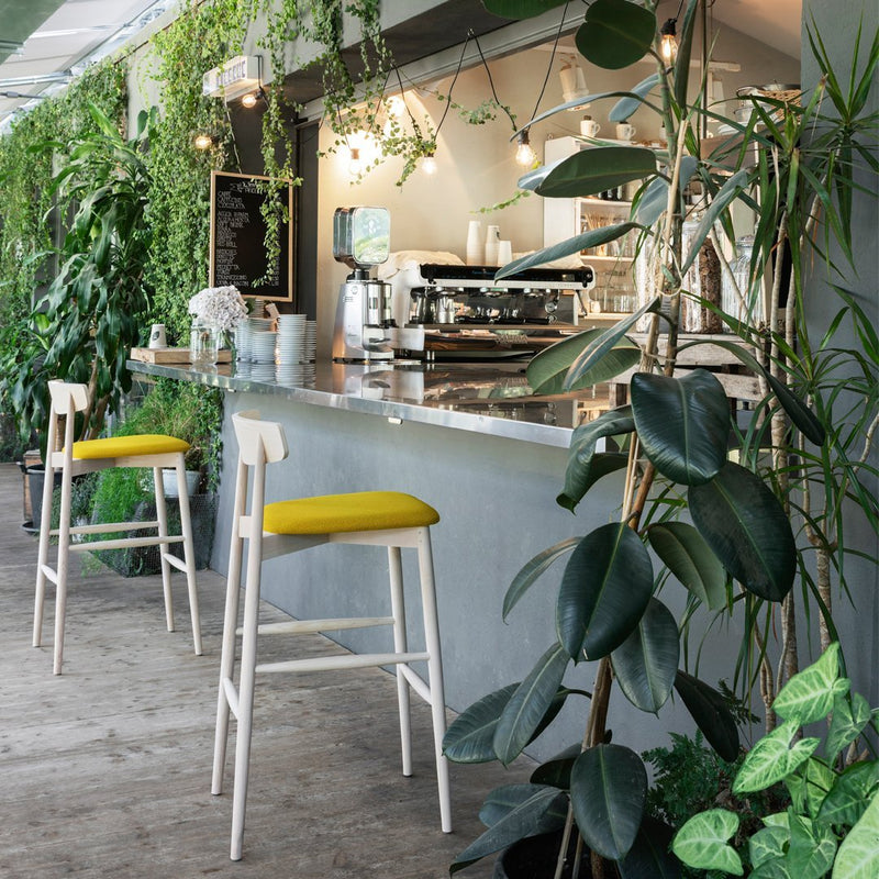 "Modern bar stools with yellow cushions, surrounded by lush greenery and a sleek, neutral-toned countertop."