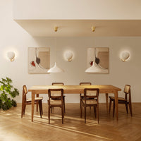 C-Chair Dining Chair - All French Cane