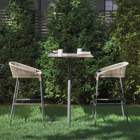 Cricket Bar/Counter Stool w/ Seat Pad