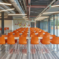 Cantata Dining Chair