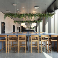 Modern wooden bar stools with light brown finish, set against a neutral gray and white interior, adorned with green plants.