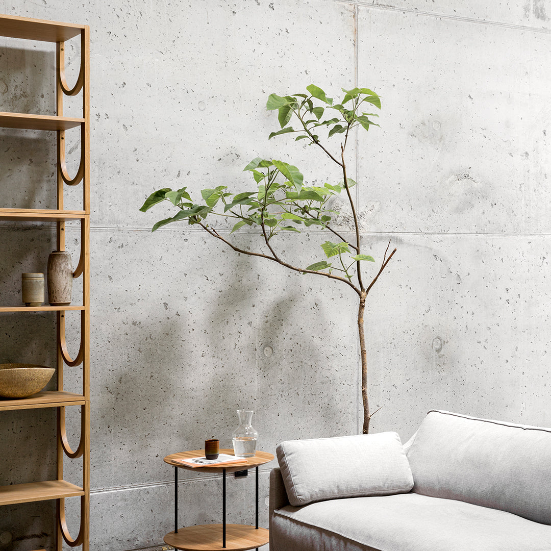 Arch Shelving System