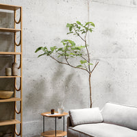 Arch Shelving System