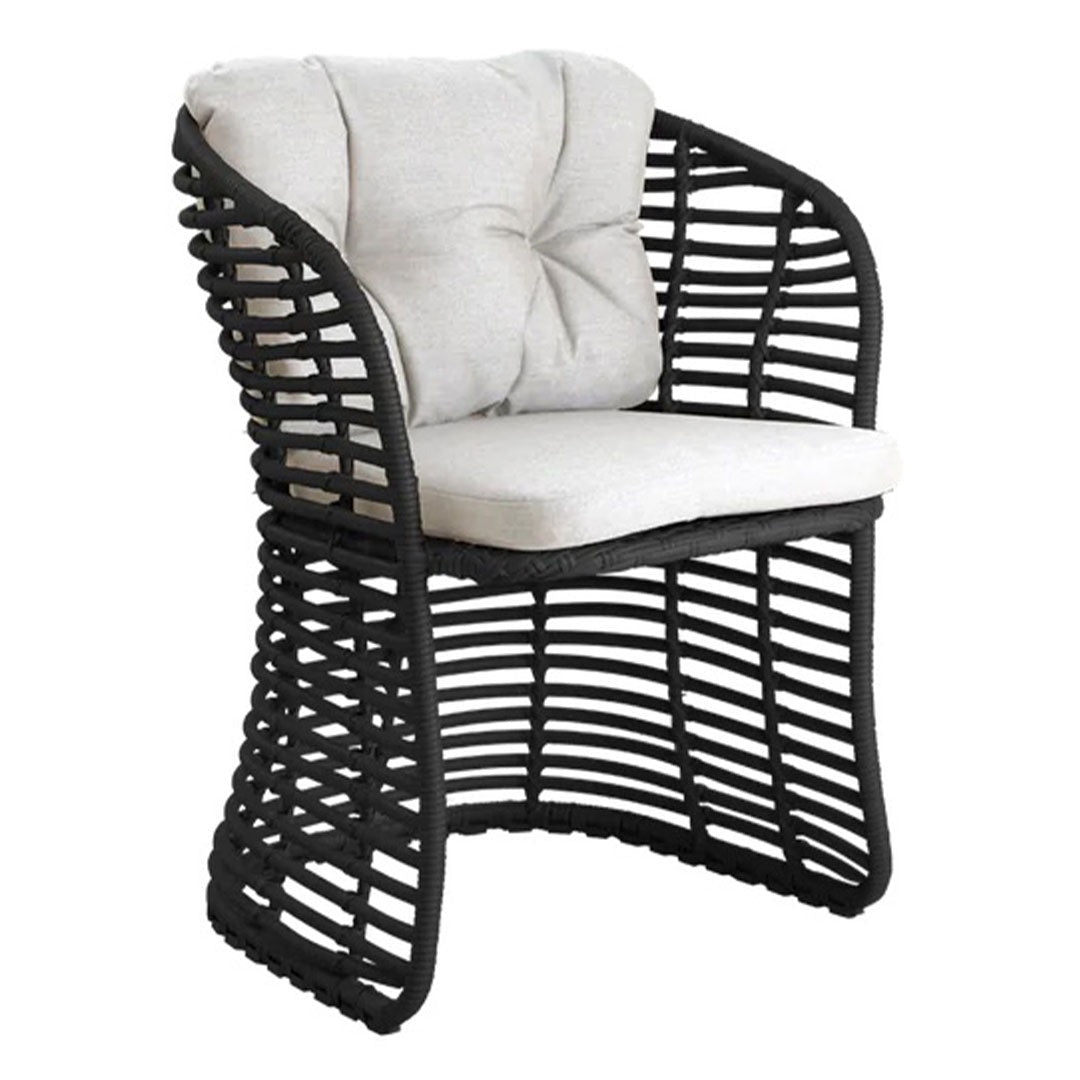 Basket Chair