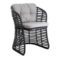 Basket Chair